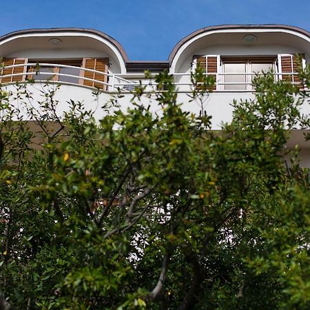 Apartman Vjekoslav クルク エクステリア 写真